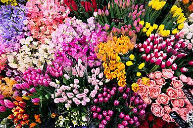 《英雄传说：零之轨迹 改》推出限量实体版 欧美地区开启预购